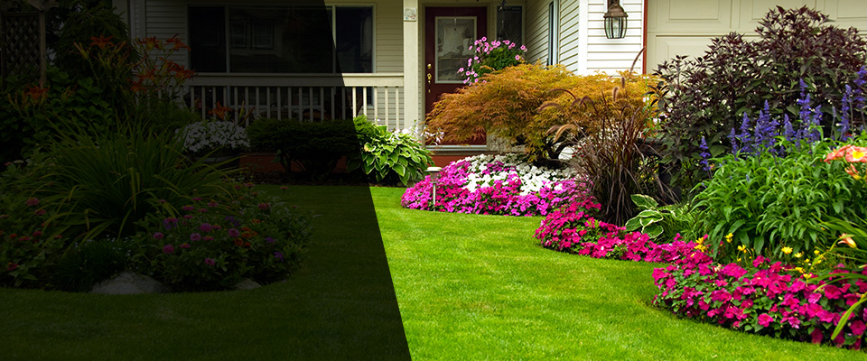 Kilkenny Landscapers